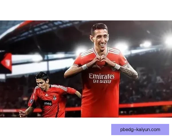 迪马利亚技术特点